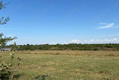 Teren de 7500 mp, în Băicoi - 4
