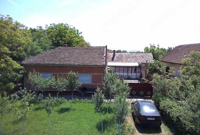 Casă cu Teren 1430 Mp în Central