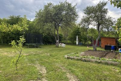 Spațiu comercial, în Sadu - 4