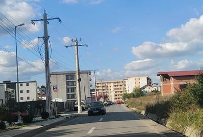 Spațiu comercial, în Vișan