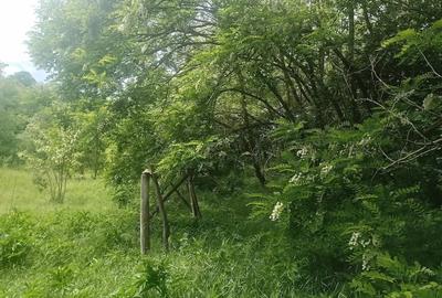 Teren de 5400 mp, în Brătila - 4