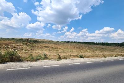 Teren Construcții intravilan de 1000 mp, în Giulești Sârbi - 1