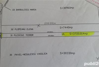 Teren de 3720 mp, în Domnești