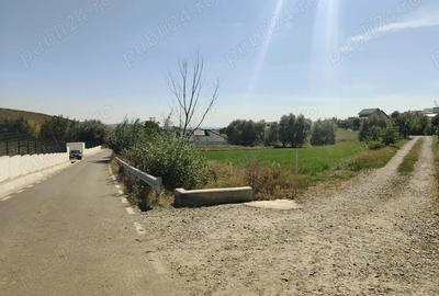Teren de 3500 mp, în Moara - 3