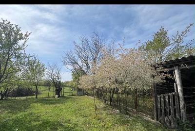 Casă cu 5 camere cu Teren 2200 Mp în Cociuba Mare