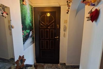 Apartament cu 2 camere semidecomandat în Tei - 8