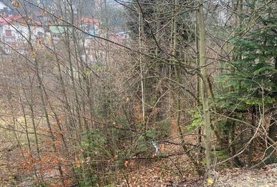 Teren de 1170 mp, în Furnica