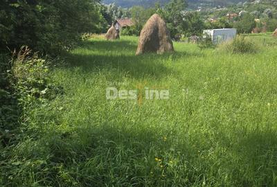 Teren Construcții intravilan de 1030 mp, în Valea Doftanei - 2