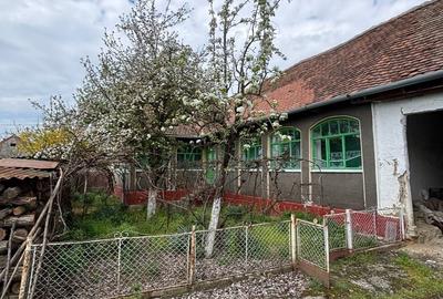 Casă cu 4 camere cu Teren 1430 Mp în Central