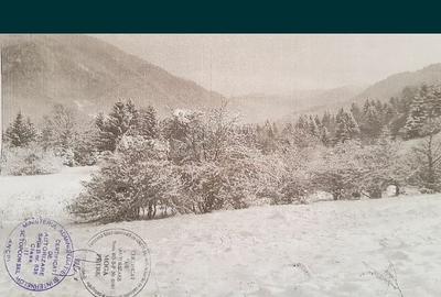 Teren de 9300 mp, în Pănicel - 2