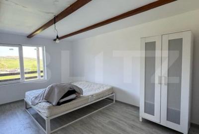 Casă cu 5 camere cu Teren 8700 Mp în Mihai Viteazu - 7