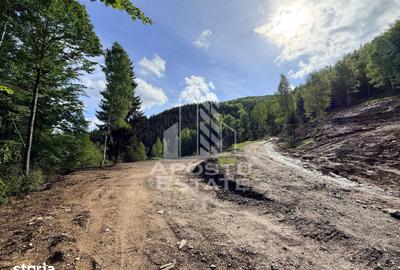 Teren de 18000 mp, în Central