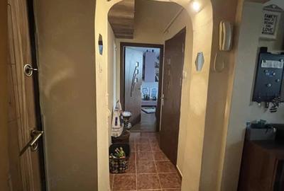 Apartament cu 2 camere semidecomandat în Valea Rosie - 6
