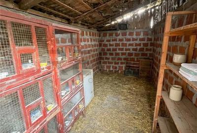 Casă cu 3 camere cu Teren 300 Mp în Tileagd - 9