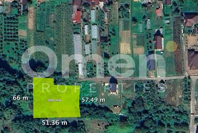 Teren Construcții intravilan de 3000 mp, în Mocira - 1