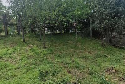 Casă cu 5 camere cu Teren 1000 Mp în Central - 2