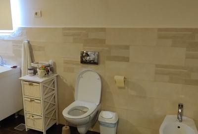 Casă cu 5 camere cu Teren 468 Mp în Lazu - 22