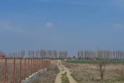 Teren de 6835 mp, în Siliștea Snagovului - 3