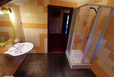 Casă cu 4 camere în Bucium - 10