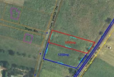 Teren Construcții intravilan de 1000 mp, în Băcia