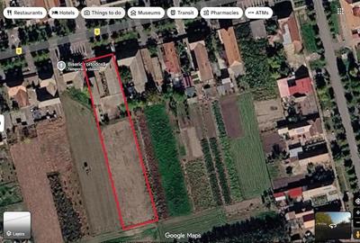 Casă cu 4 camere cu Teren 2220 Mp în Tomnatic - 5