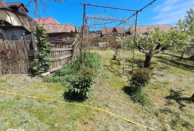 Casă cu 3 camere în Nazna - 18