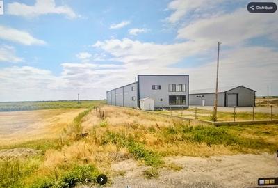 Teren agricol extravilan de 3200 mp, în Bordești - 3