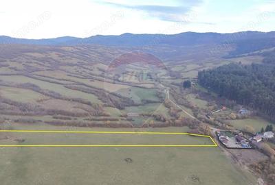 Teren de 5800 mp, în Purcăreni - 9