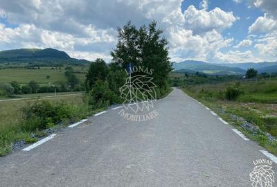 Teren agricol extravilan de 6500 mp, în Cușma - 8