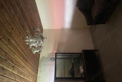 Casă cu Teren 2250 Mp în Brăniștari - 4
