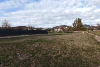 Teren de 800 mp, în Tăuții-Măgherăuș