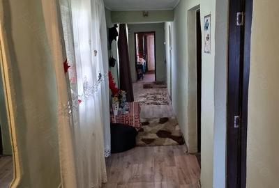 Casă cu 2 camere cu Teren 1500 Mp în Copaciu - 9