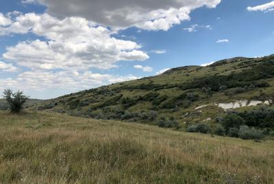 Teren agricol extravilan de 500000 mp, în Tohani - 9