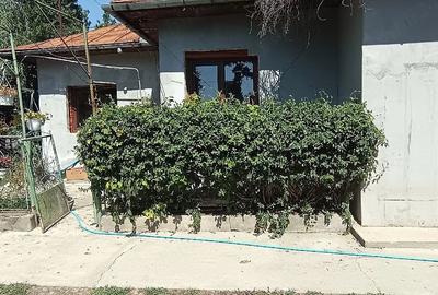 Casă cu Teren 2100 Mp în Crivina