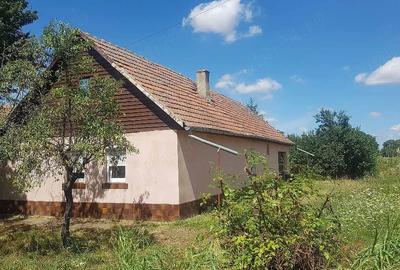 Casă cu Teren 1464 Mp în Vinga - 5