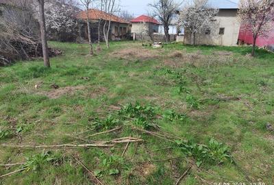 Casă cu 2 camere cu Teren 1500 Mp în Brânceni - 4