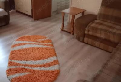 Apartament cu 2 camere semidecomandat în Banat - 4