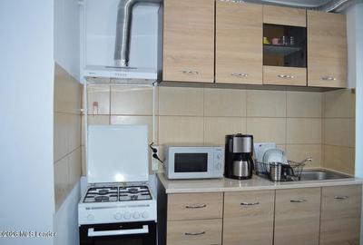 Apartament cu 2 camere decomandat în Găvana 2 - 2