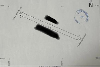 Teren de 3019 mp, în Cazasu