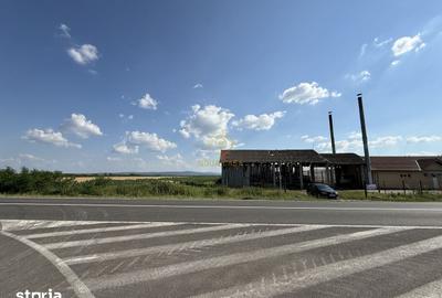 Teren de 9482 mp, în Medieșu Aurit - 2