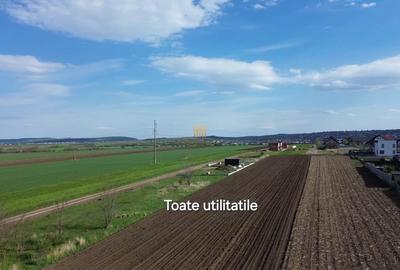Teren de 3498 mp, în Tișăuți - 1