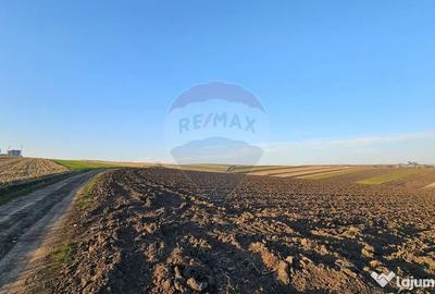 Teren de 30077 mp, în Stroiești - 11