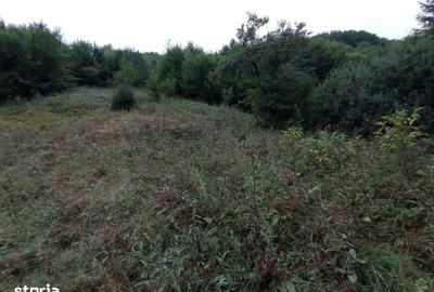 Teren de 32000 mp, în Rusca