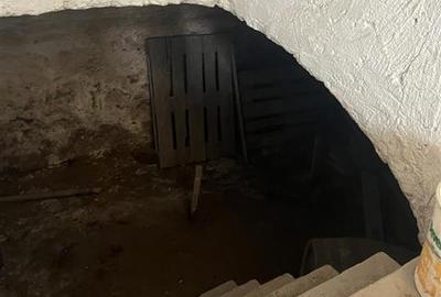 Casă cu 8 camere cu Teren 250 Mp în Măgești - 20