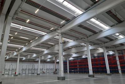 Spațiu industrial, de 5,000 mp, în Est - 12