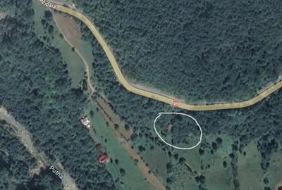 Casă cu 4 camere cu Teren 1500 Mp în Lepșa - 6