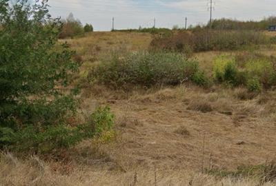 Teren de 4500 mp, în Albota - 1