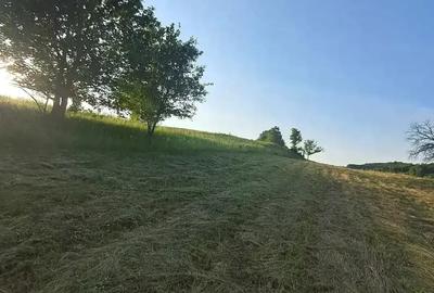 Teren de 3380 mp, în Șoimuș - 1