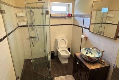 Apartament cu 3 camere în Iancului