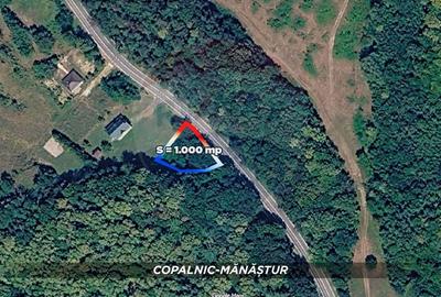 Teren Construcții intravilan de 1000 mp, în Curtuiușu Mic